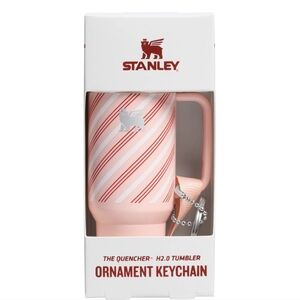 Stanley Ornament Keychain in Strawberry  Cream Twist